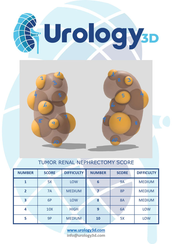 PARTIAL NEPHRECTOMY TRAINING KIT