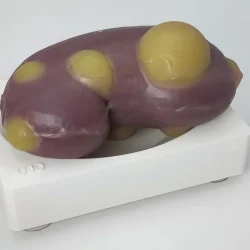 WhatsAppImage2023-11-06at12.31.14