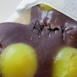 WhatsAppImage2024-01-19at10.10.56