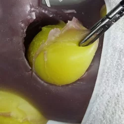 WhatsAppImage2024-01-19at10.10.56_1